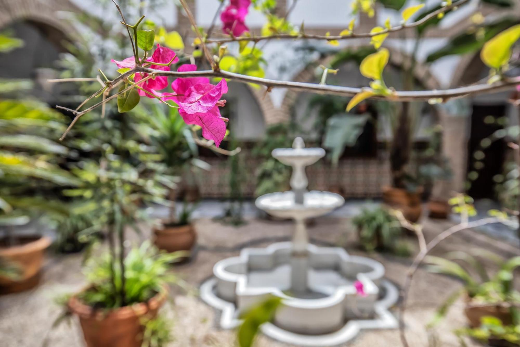 Apartmán Casa Con Patio Maria Auxiliadora Córdoba Exteriér fotografie